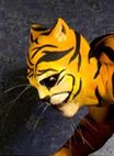 Big Cat Walk