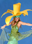 Daffodils