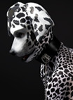 Humanimal