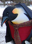The Penguins