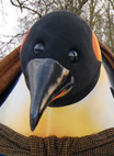 The Penguins