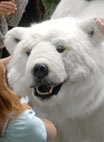 Polar Fantastic