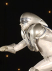 Silver Speed Team - Speedster
