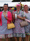 Tea Ladies On Tour