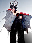 The Bats