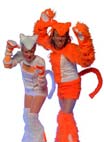 Pussy Cats
