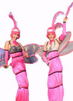 Vertigo Stilts - The Dragonflies
