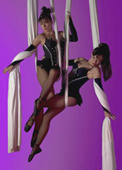 Aerialists