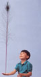 balancing