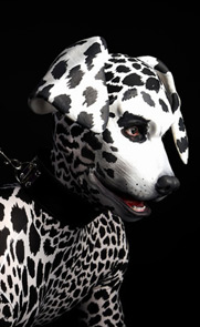 Humanimal photo