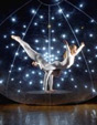 Star Bubble photo