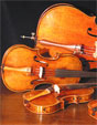 String Quartets photo